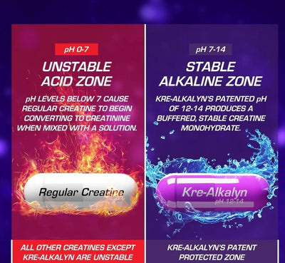 EFX Kre-Alkalyn Creatine Capsules – 240-Cap Bottle