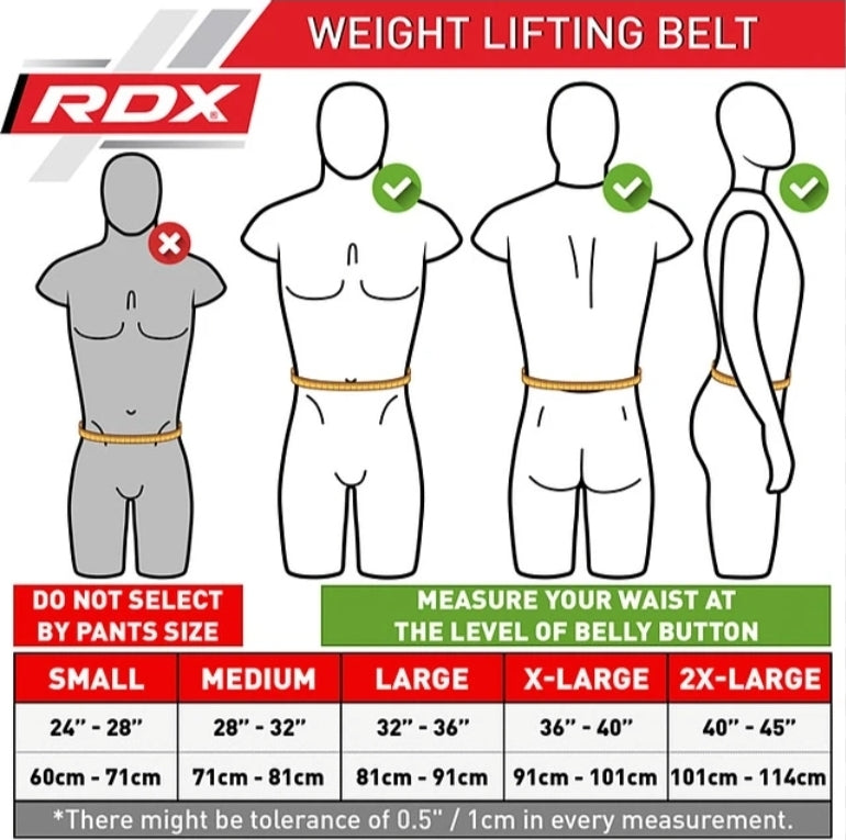 RDX Weight Lifting Belt Eva Curve RX4