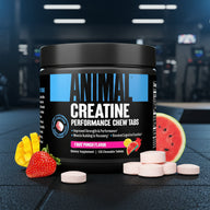 Container of Animal Creatine Performance Chew Tabs with fruit on a gym floor background