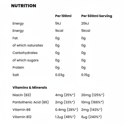 SNEAK Energy Drink – Zero Sugar Natural Caffeine – 12-Can Case (500ml)