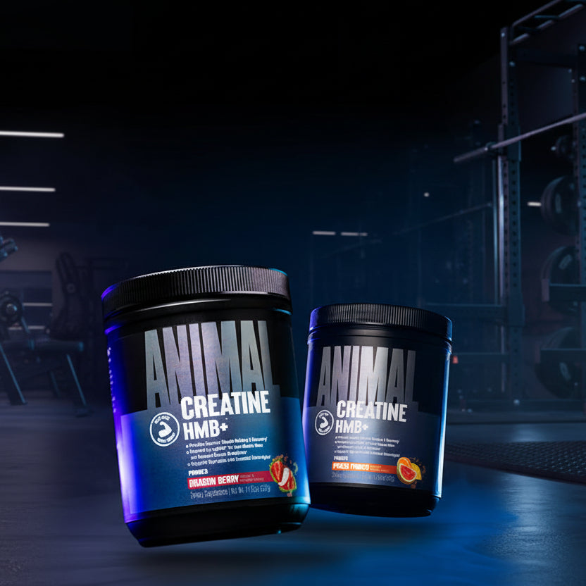 Two containers of Animal Creatine HMB+ on a dark background with gym equipment.